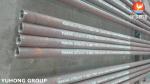 ASTM A213 T9 Chromium-Molybdenum Alloy Seamless Heat Exchanger Tubes