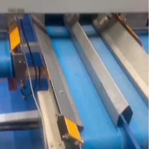 Walnut Kernel Sorting Machine AI-Powered Industrial-Grade Stability Real-Time