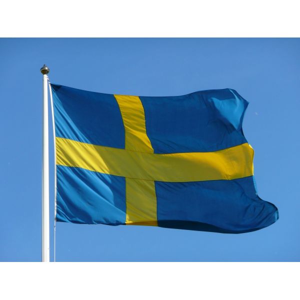 Factory Wholesale National 100% Polyester Sweden Flag For Outdoor Using