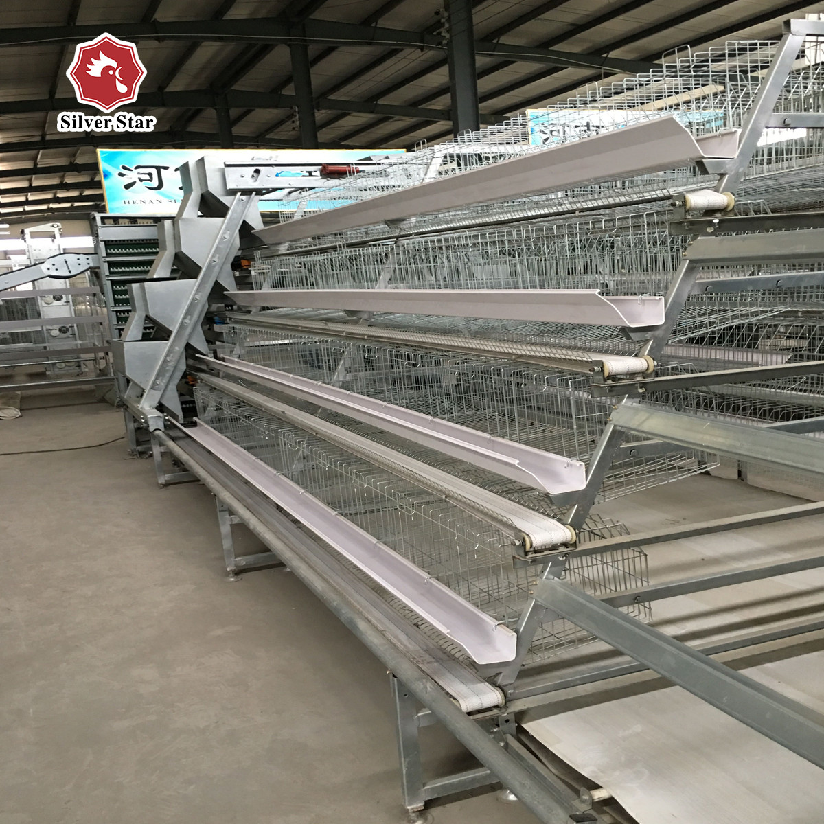 Free Design A Type Hot Galvanized Baby Chick Cage 4 Tiers 168 Birds