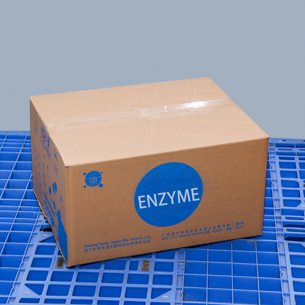 10000ALU-100000ALU Alpha Galactosidase Enzyme Foods Customized Enzyme Activity