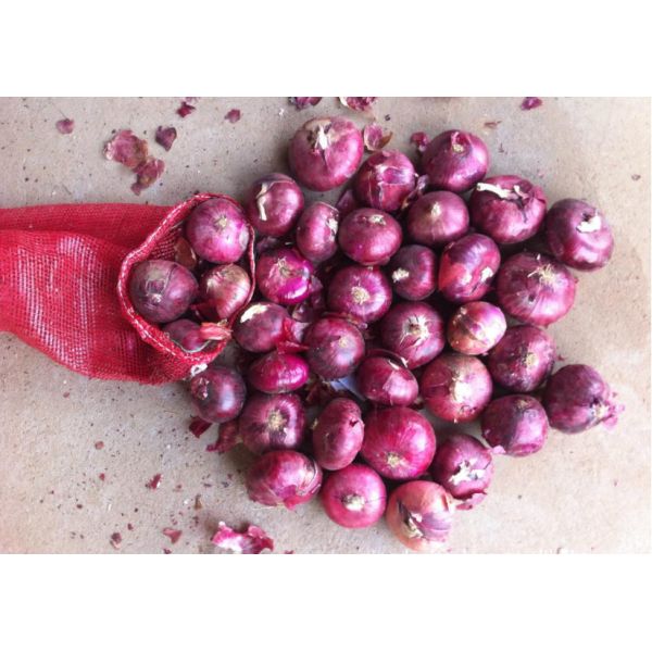 Metabolism Enhancing Fresh 6cm Restaurant Red Onion