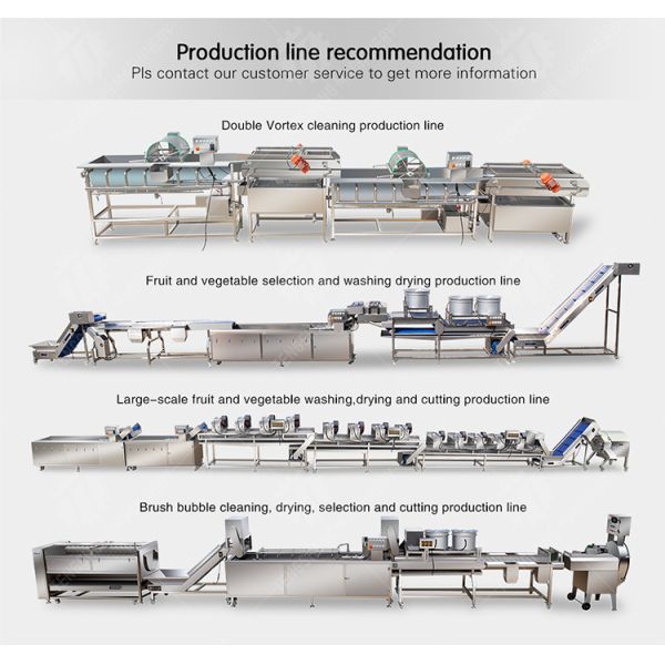Ginger Pineapple Dual Feeding Inlet Vegetable Processing Machine Connectable SS