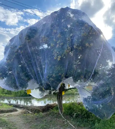 Insect Net 40 Mesh For Greenhouse Protections Insect Barrier Mesh