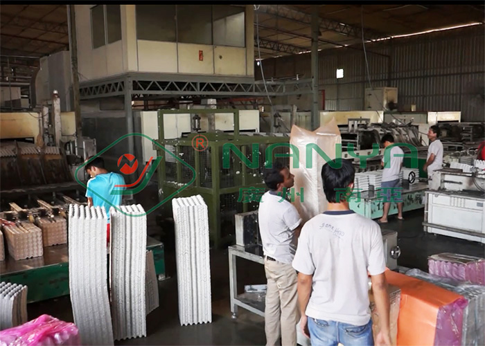 Eco Friendly Fiber Pulp Egg Tray / Fruit Tray Machinery With CE Certified
