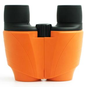 Quality Bk7 Prism Glass 10x25mm Compact Folding Binocular For Birding for sale