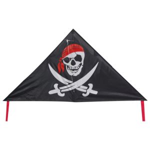 Quality Pirate Pattern Delta Wing Kite Convenient Carry Easy Control Durable for sale
