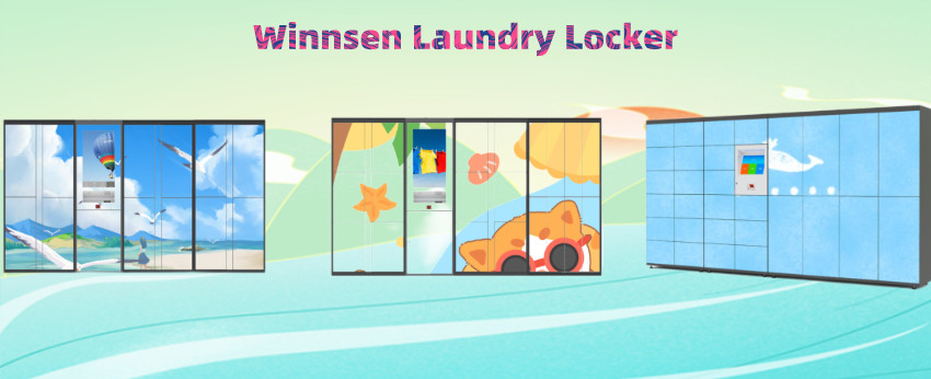 Wardrobe Storage Laundry Lockers CRS Cabinet With Hanger For School Gym
