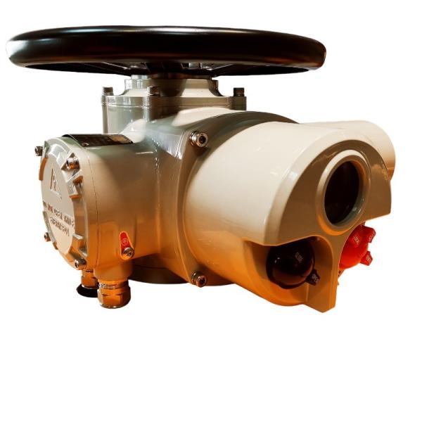 600NM Electric Multi Turn Actuator Intelligent Explosion Proof Electric Actuator