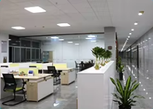 Baby Diaper Super Absorbent High Quality First Grade Disposable Baby Diapers at Good Prices