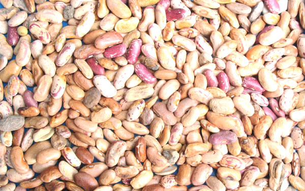 Seeds Optical Sorting Machine Vegetable Tomato Sesame Seed Color Sorter Separator Machine