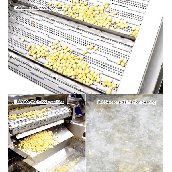 Streamline Your Manufacturing Process with Our Advanced Fruit And Vegetable Processing Line