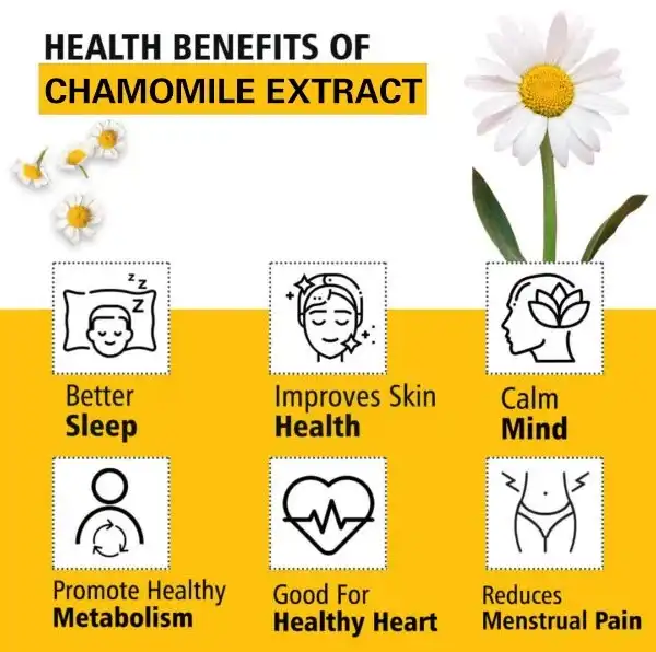 Chamomile Extract Powder 0.5%-98% Apigenin