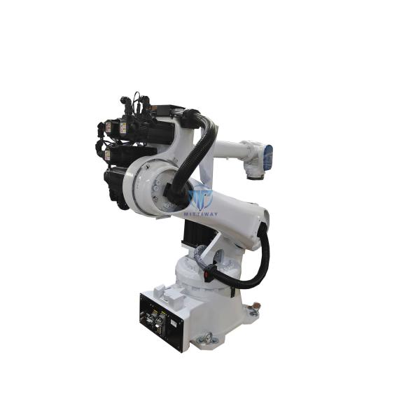 Automatic Robot Bag Case Packer Adjustable Operating Speed