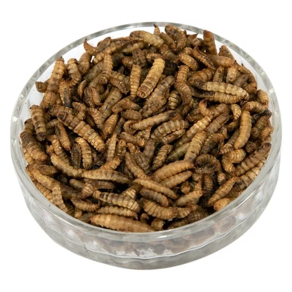 Quality Widely Available Dried BSF Larvae Offering Dry And Crispy Texture for sale