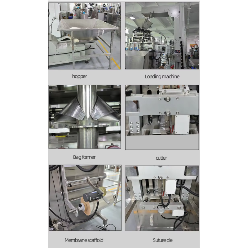 Full Automatic Ten Heads Packaging Machine for Coffee Bean Snack Candy Rice Sugar Salt Chips Food