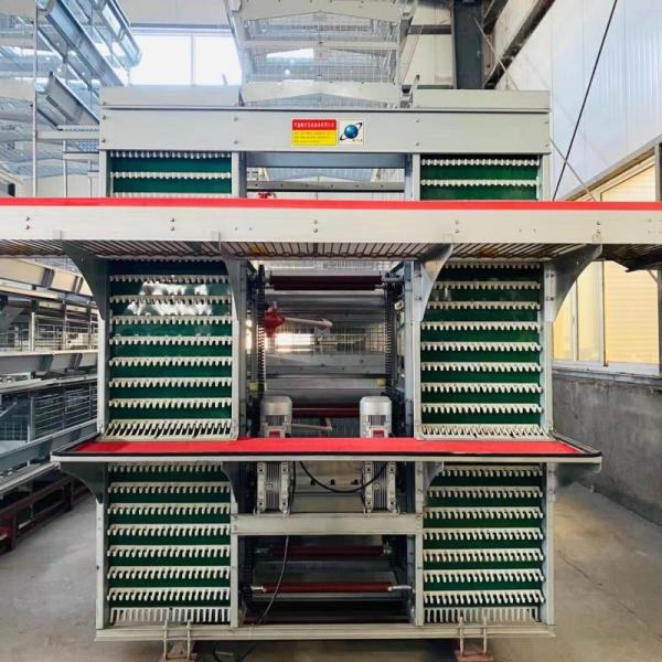 Hot Dip Galvanized Steel Fully Automatic Vertical H Type Multitier Chicken Egg Laying Cage