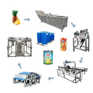 Quality Juice And Puree Processing Machine For Pineapple Processing Line for sale