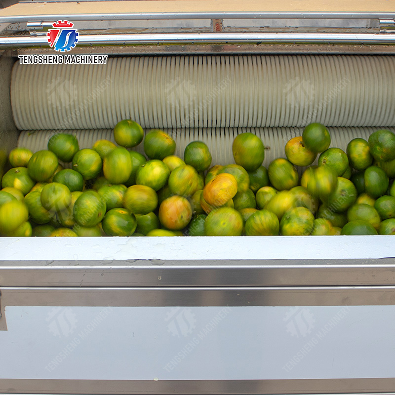 Citrus cleaning production line Fruit Orange Wash Washer Washing Cleaning Dryer