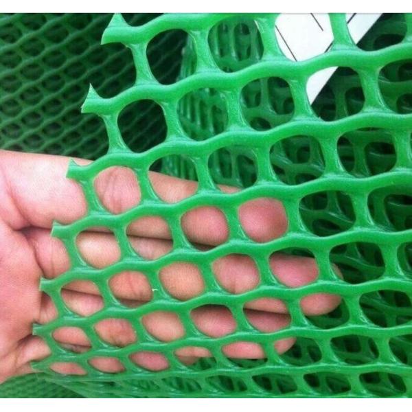 Buy extruded plastic net mesh/extruded polypropylene mesh at wholesale prices