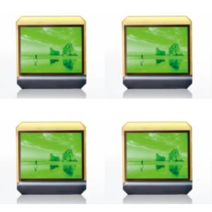 16 Bit Parallel Input Micro OLED Microdisplay with Square Color Pixel Arrangemen