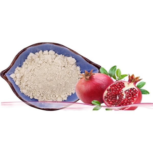 Safe 40% Pomegranate Extract Ellagic Acid Pomegranate Peel Extract Anti Oxidation