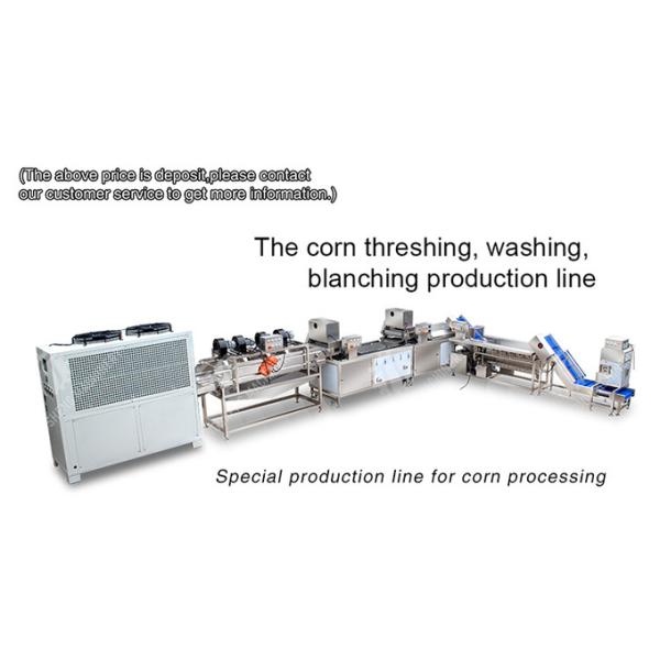 Streamline Your Manufacturing Process with Our Advanced Fruit And Vegetable Processing Line