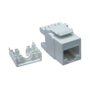 Quality CAT6 Unshielded Keystone Jack, Universal Wiring T568A/B for sale