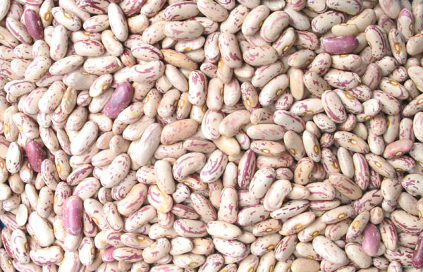 Seeds Optical Sorting Machine Vegetable Tomato Sesame Seed Color Sorter Separator Machine