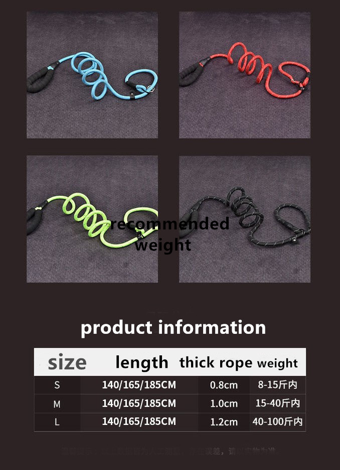 leash of dog