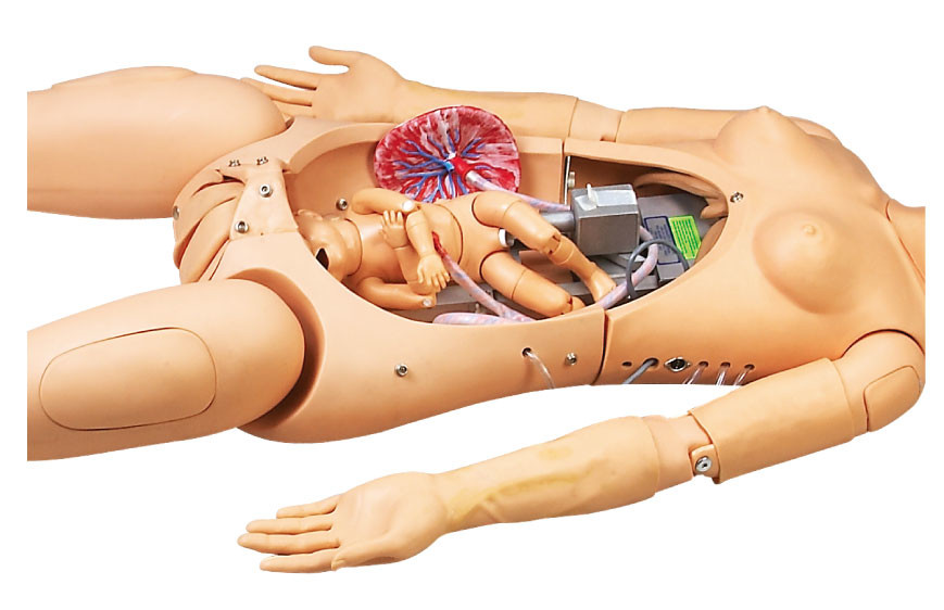 Quality Teaching Training Maternal Neonatal PVC Child Birth Simulator for sale