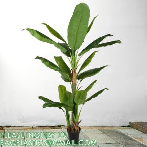 China Artificial Banana Tree 6ft Tall 22 Large Leaves Triple Stalk Faux Banana Silk Tree Artificial Banana Leaf Plant on sale