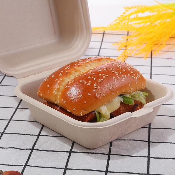 155mm Eco Friendly Square Bagasse Lunch Box Food Container For Restaurant