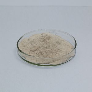 Water Soluble Protease Laundry Detergent 2.4L Customized Enzyme Activity