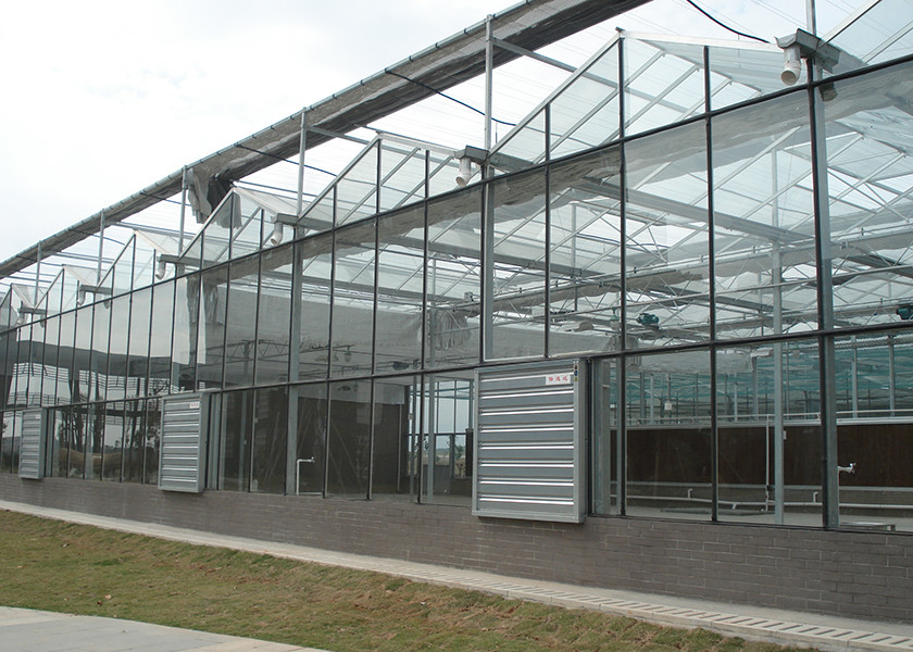 Glass Greenhouses With Thermal Curtain For Perfect Illumination-Deficient Floriculture