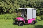 Pinky Golf Buggy 48V 2+2 Seater with Trojan Battery