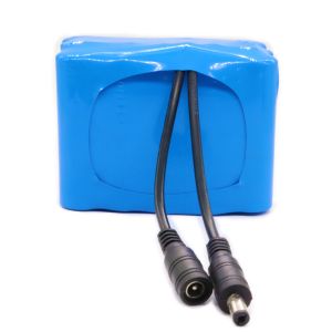 Custom Battery Packs 11.1V 9000mAh 18650 Lithium Ion Battery