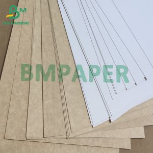 Food White Coated Folding Carton Board Kraft Back Paper 325gsm