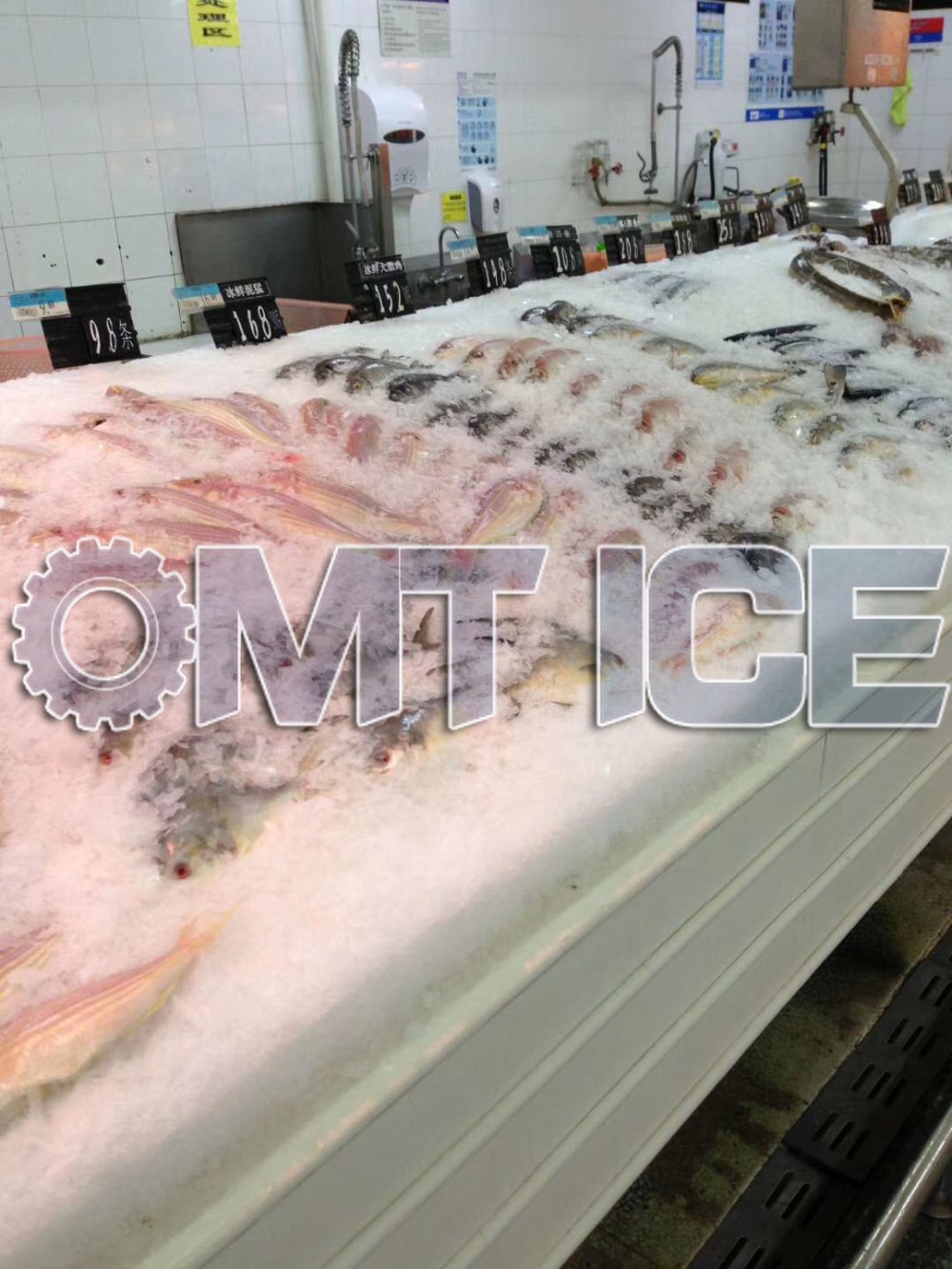 3Ton Sea Water Flake Crushed Ice Maker Thickness 1.2mm Refrigerant R404a