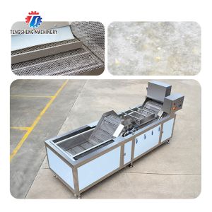customized blanching machine Fruit Orange Vegetable Leaves Vegetables Carrots