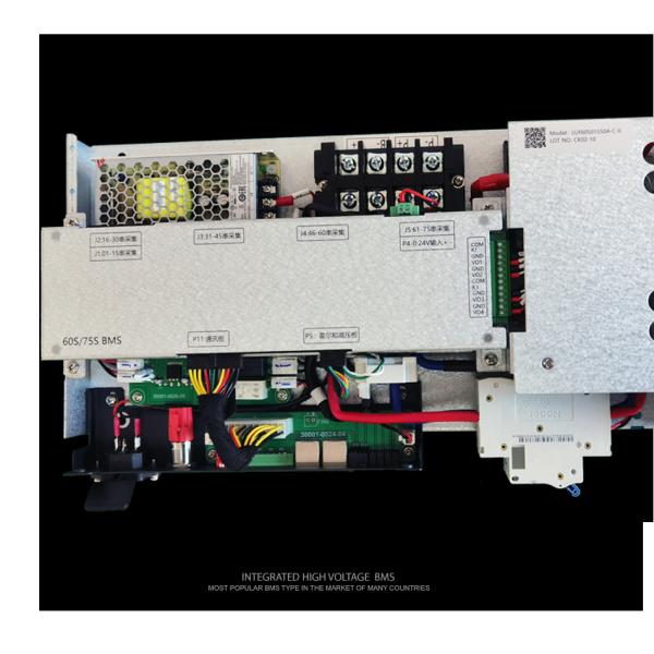 30S-75S 100A Lithium Battery BMS with CAN RS485 Communication