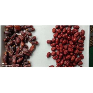 LED Light Source And Machinery Function Shape Sorter High Capacity Belt Color