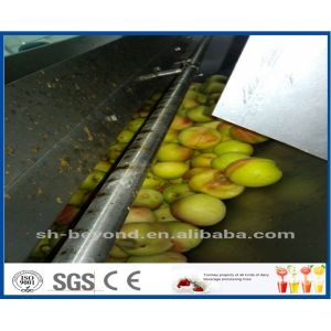 CE Apple Processing Line with Automatic Disinfection Liquid Concentration
