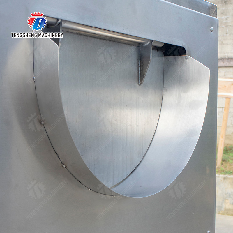 Citrus cleaning production line Fruit Orange Wash Washer Washing Cleaning Dryer