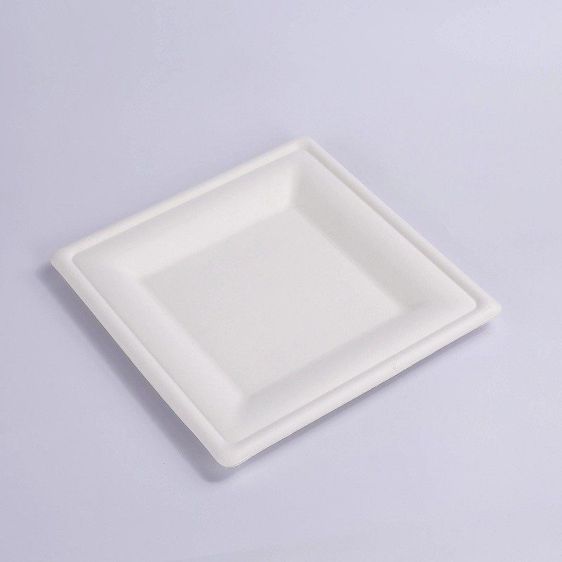 10 Inch Green Compostable White Square Paper Green Biodegradable Sugarcane