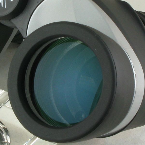 Apparent Field View 76 Degree Bird Spotting Binoculars 8x Magnification