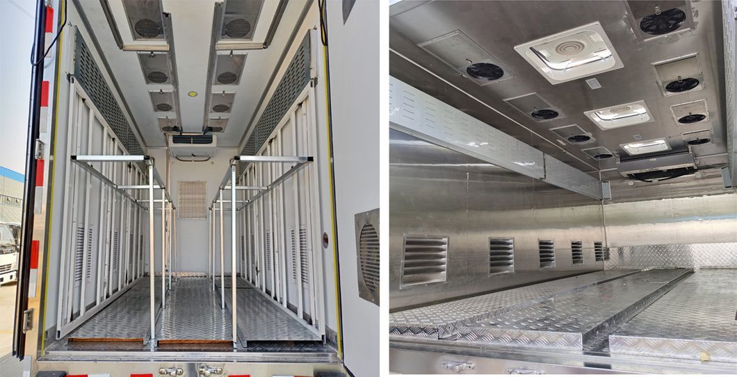 HOWO 4X2 4m Poultry Livestock Transportation Chick Duckling Piglet Young Baby Constant Temperature Truck