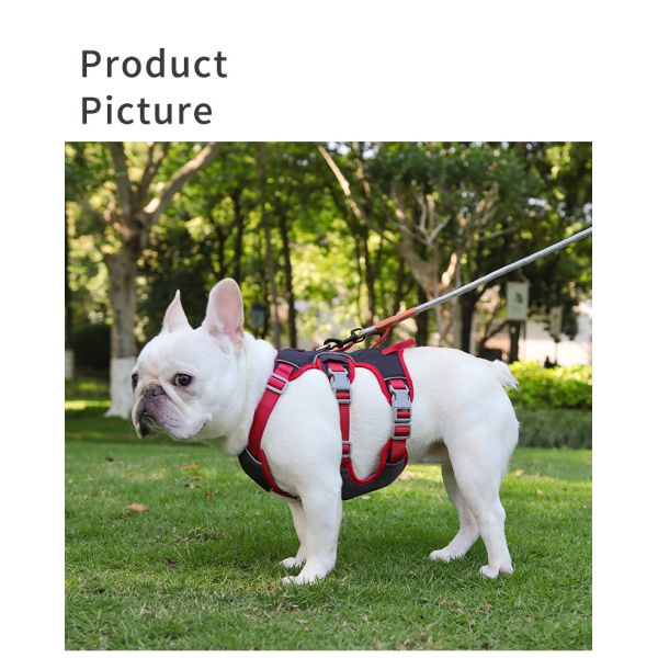 Medium Size Personalized Dog Harness No Pull Dog Harness Anti Breakaway Safe Anti Escape