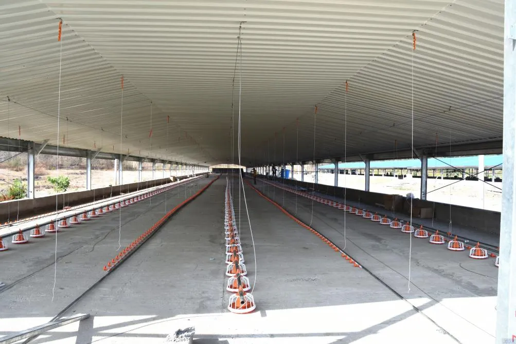 Hot Deep Galvanized Manufacture Metal Steel Broiler Layer Poultry House with Automatic Brooding Equipment