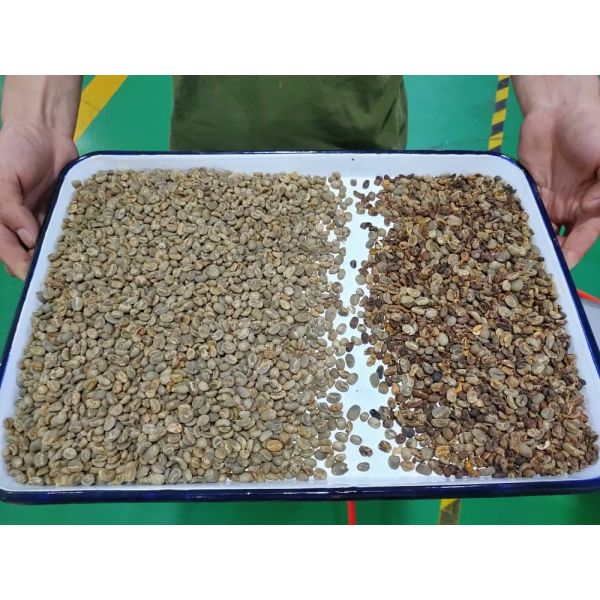 High Sorting Accuracy Coffee Grain Color Sorter Machine Rice Plastic Nut Sorting Equipment Multi-function